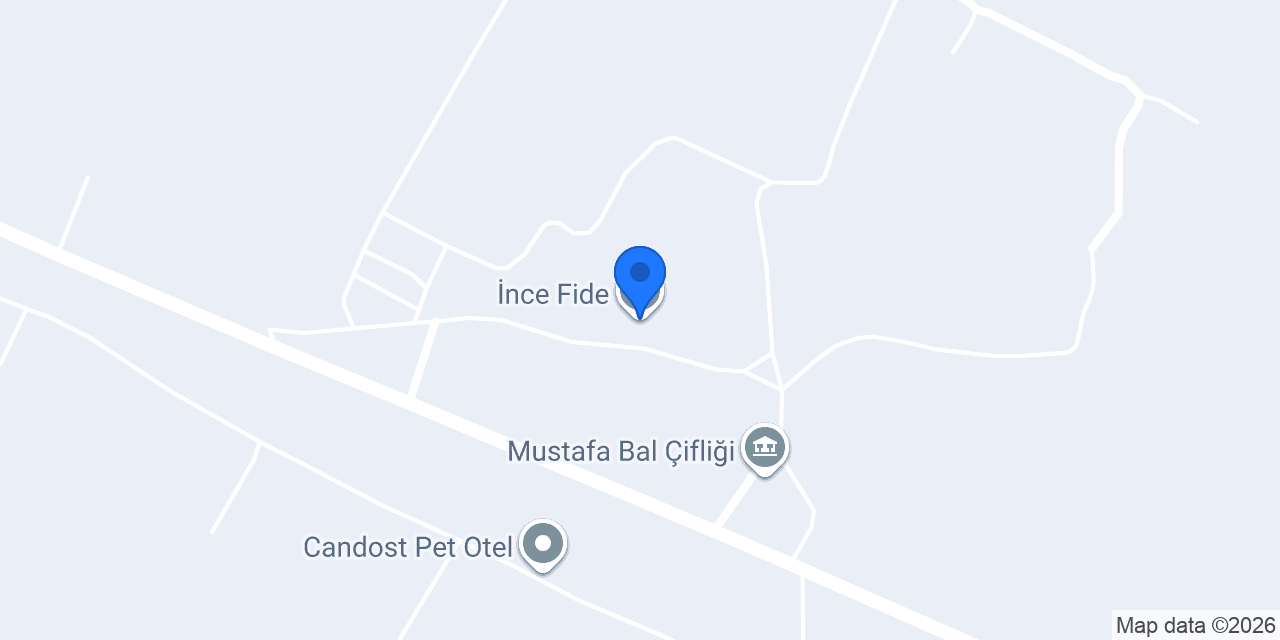 İnce Fide konumu