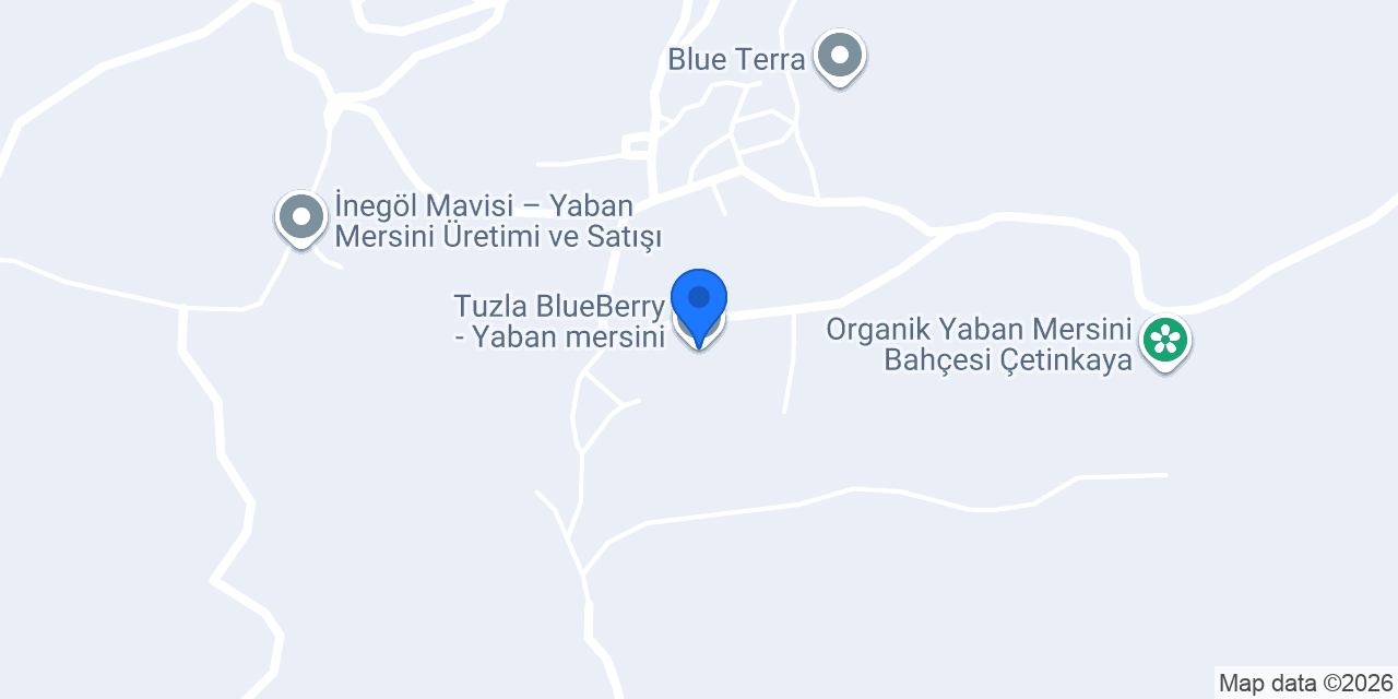 Tuzla BlueBerry - Yaban mersini konumu