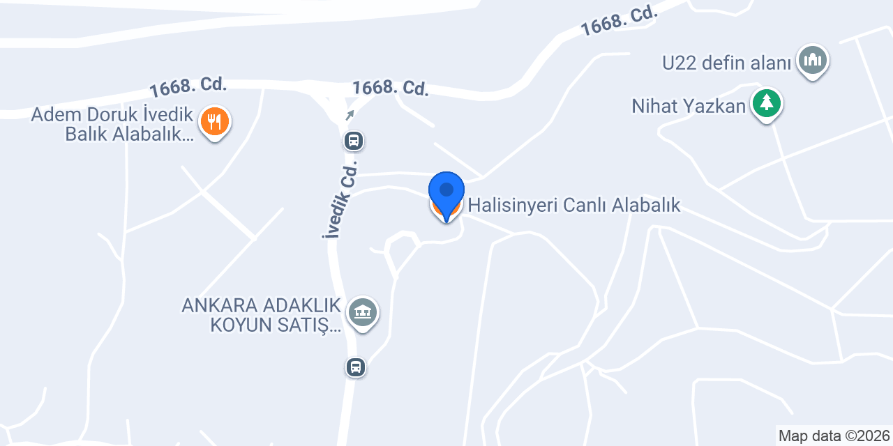 Halisinyeri Canlı Alabalık konumu