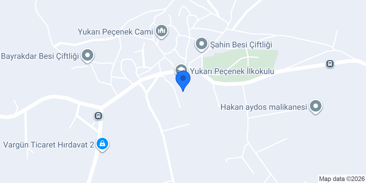 Olgun besi konumu