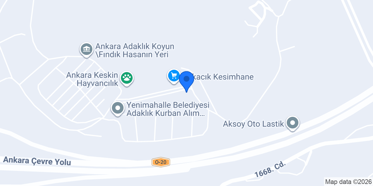 Can Besicilik konumu