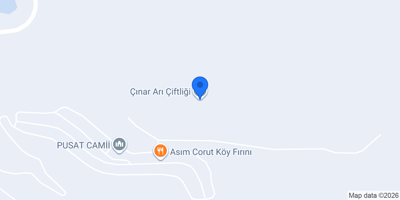 Çınar Arı Çiftliği konumu