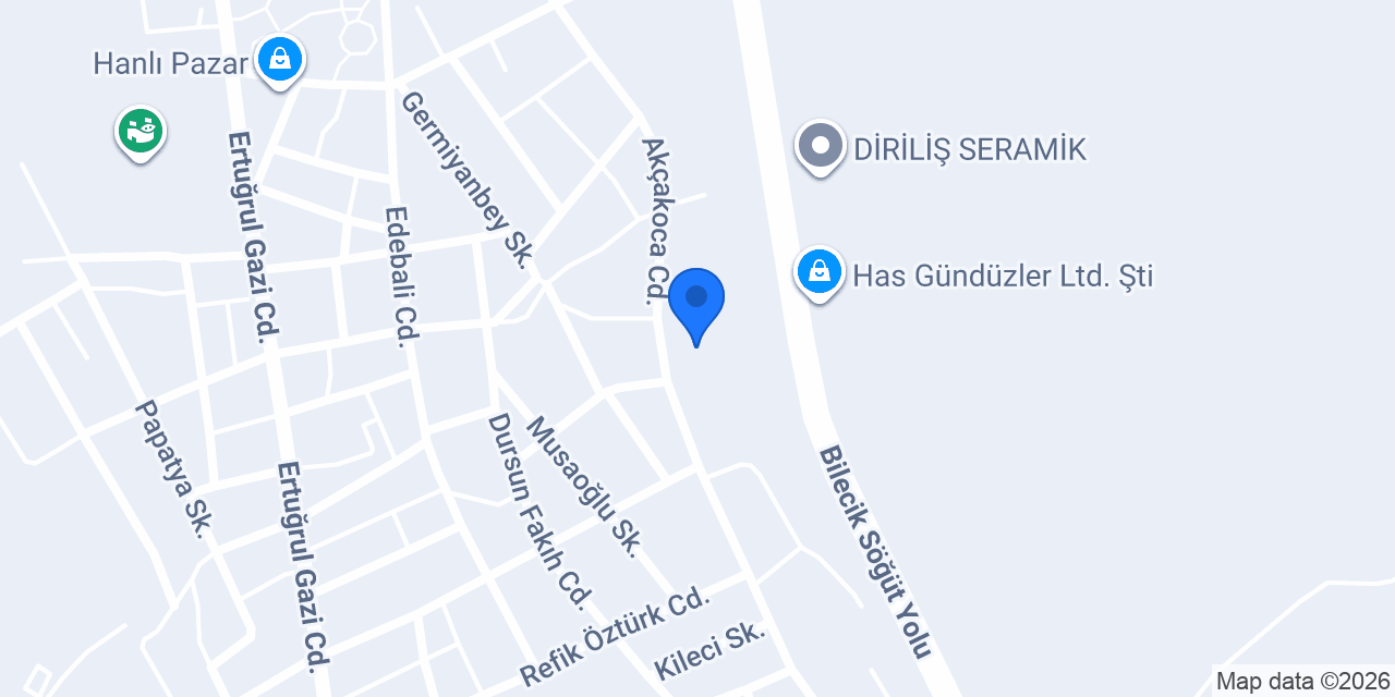 SÖĞÜT ANADOLU İMAM HATİP LİSESİ konumu