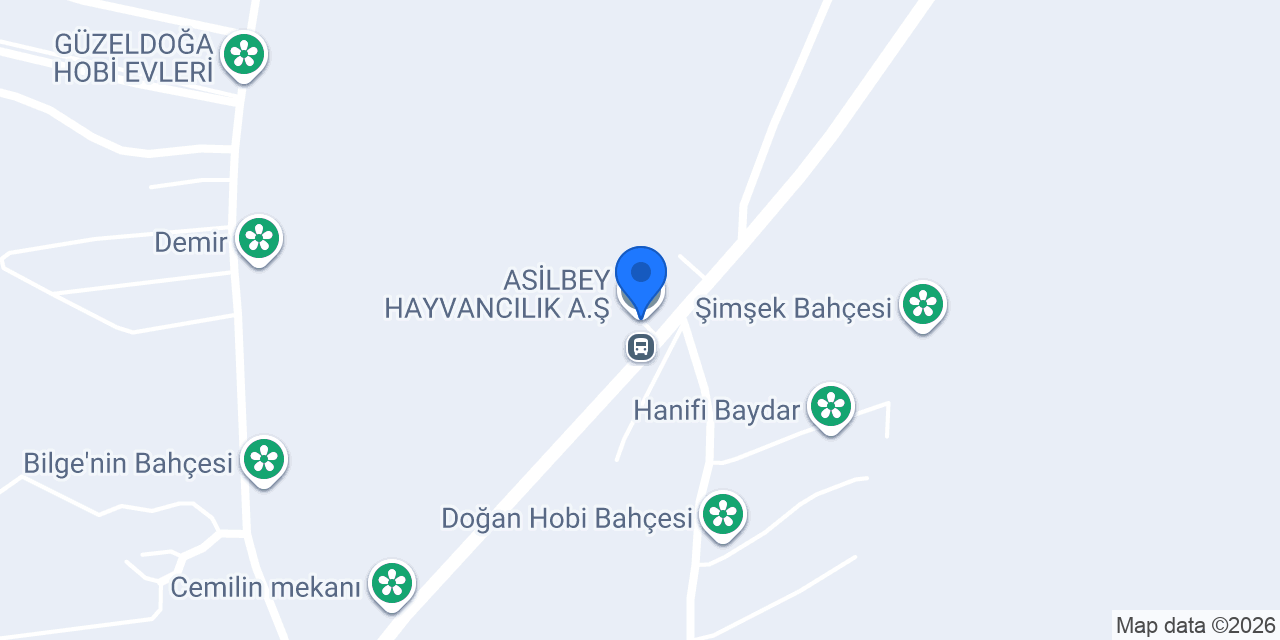 ASİLBEY HAYVANCILIK A.Ş konumu