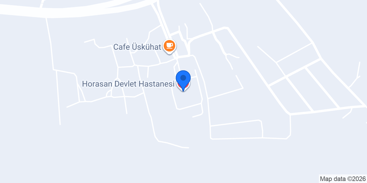 Horasan Devlet Hastanesi konumu