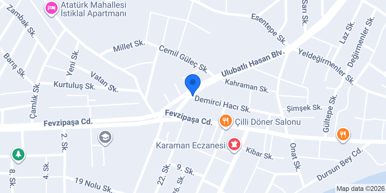 Aslan fast food konumu