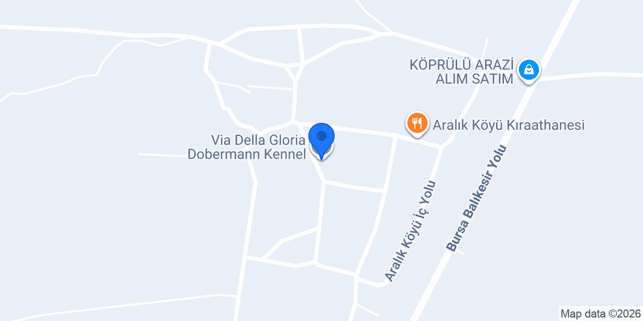 Via Della Gloria Dobermann Kennel konumu