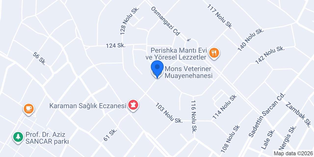 paşa çilingir konumu