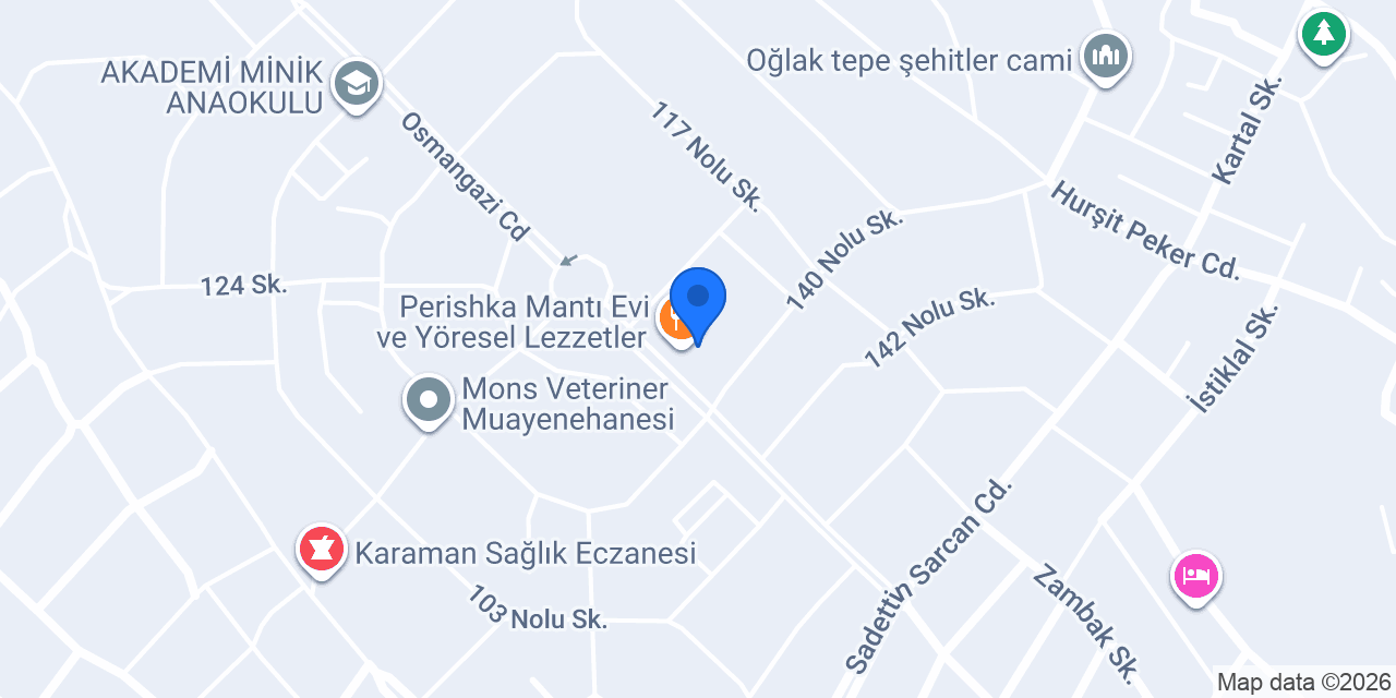 Aslan inşaat konumu