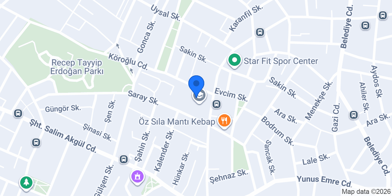 Saray Taş Dekorasyon konumu