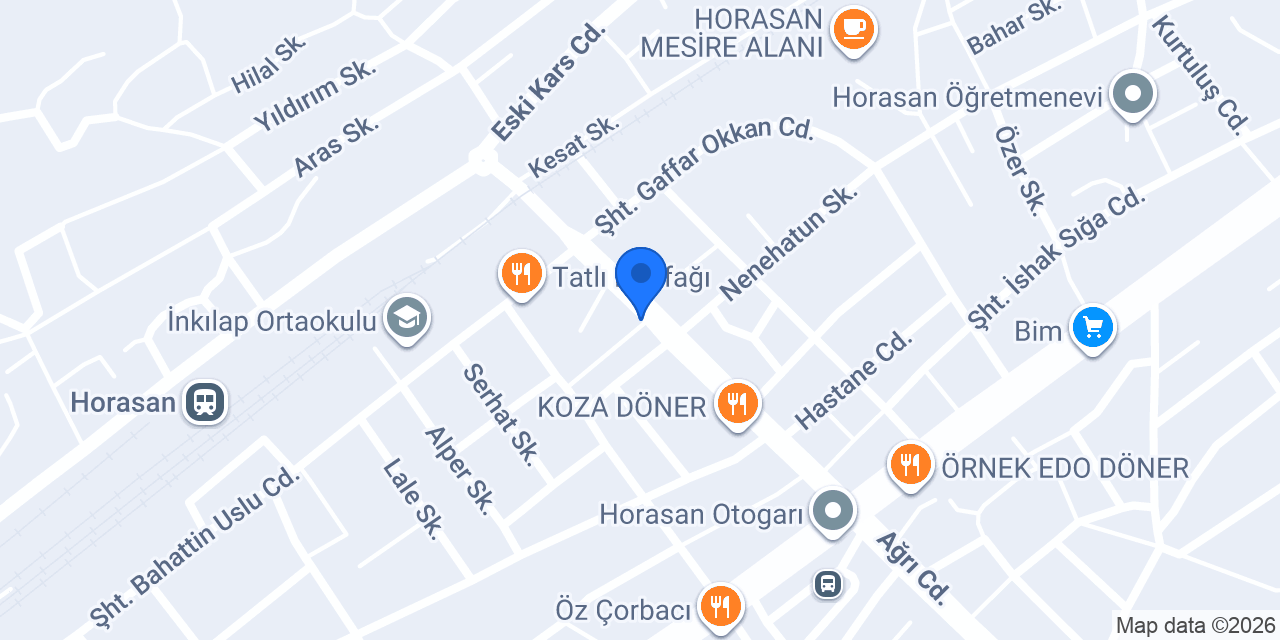 Horasan Papatya Çiçekçilik konumu
