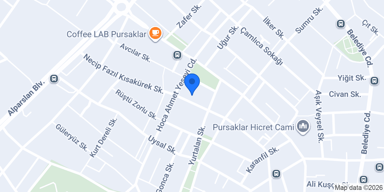 Pursaklar Pet Shop konumu