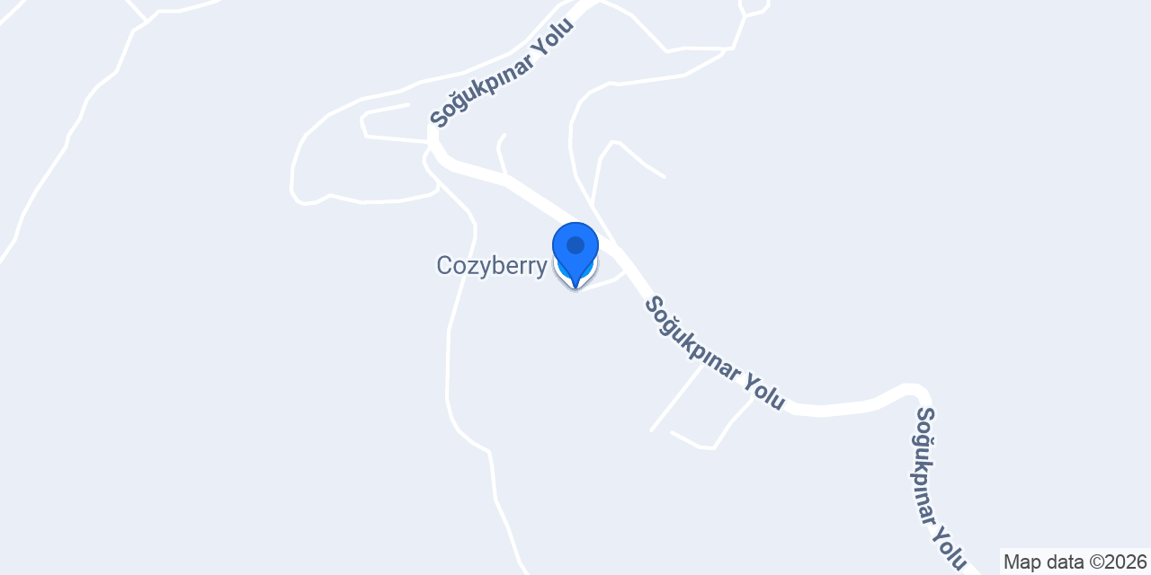 Cozyberry konumu