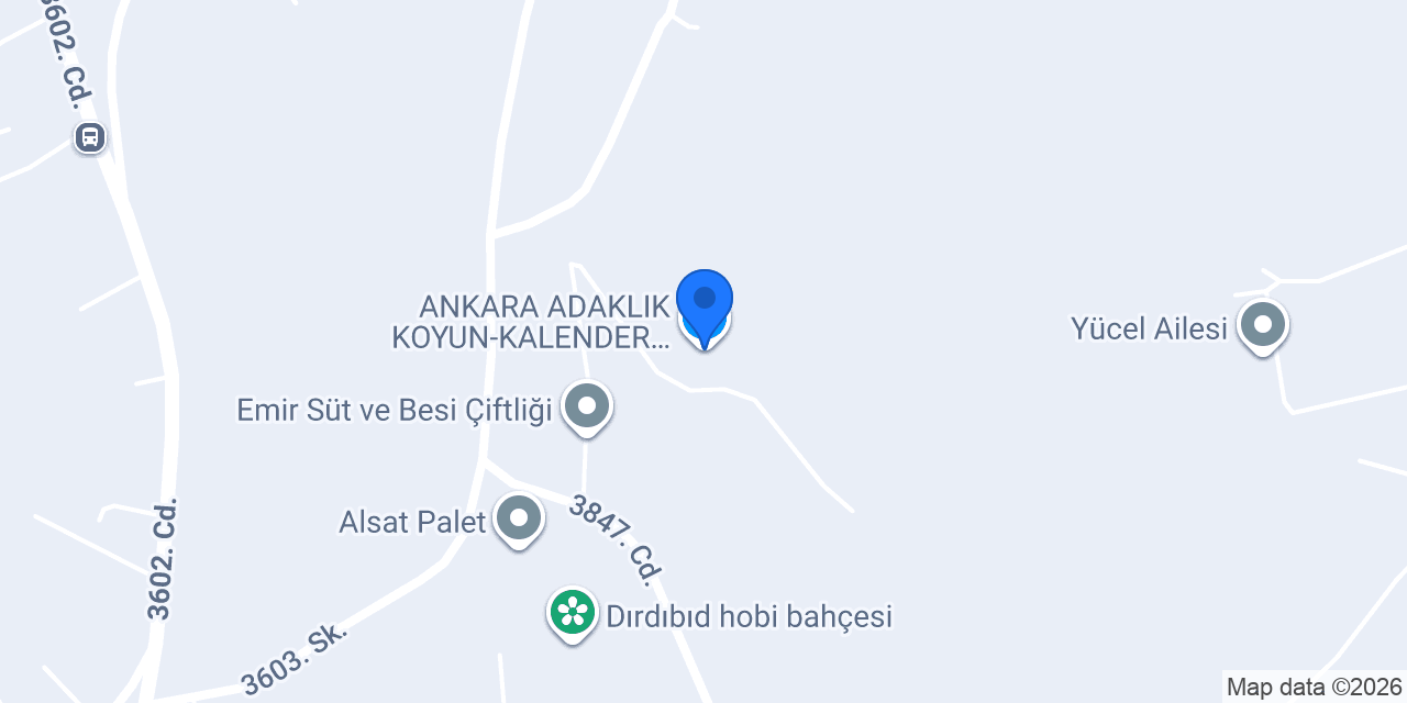 ANKARA ADAKLIK KOYUN-KALENDER HASAN konumu
