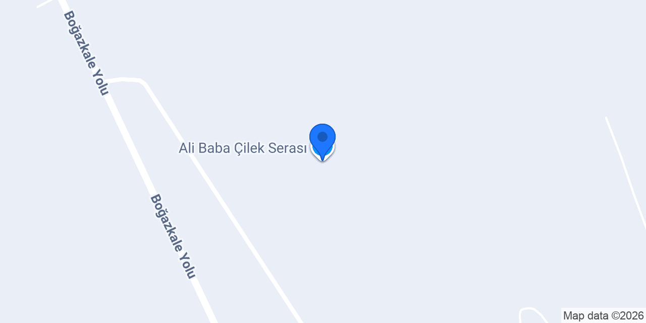 Ali Baba Çilek Serası konumu