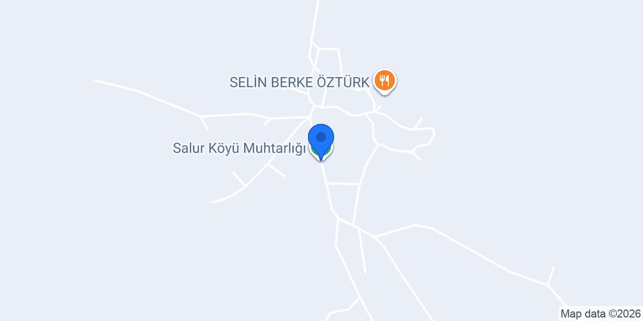 Salur Köyü Muhtarlığı konumu