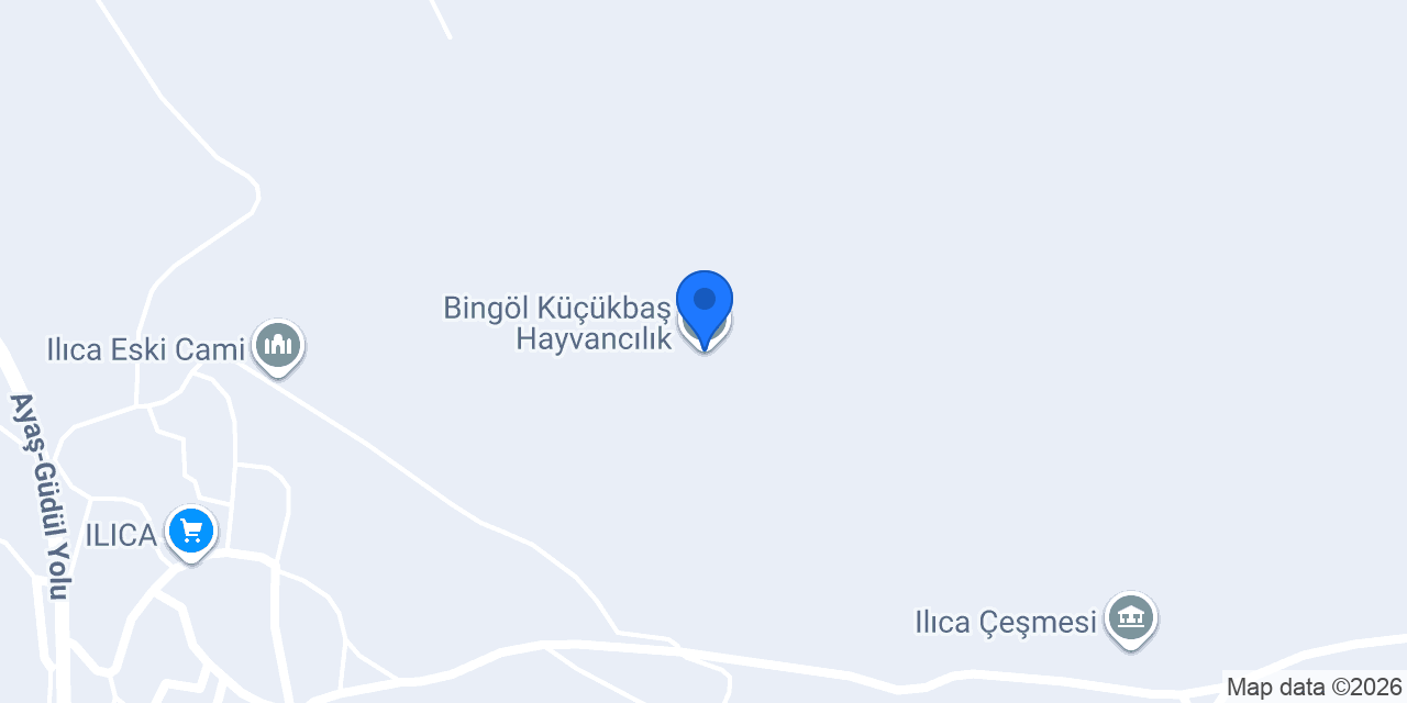 Bingöl Küçükbaş Hayvancılık konumu