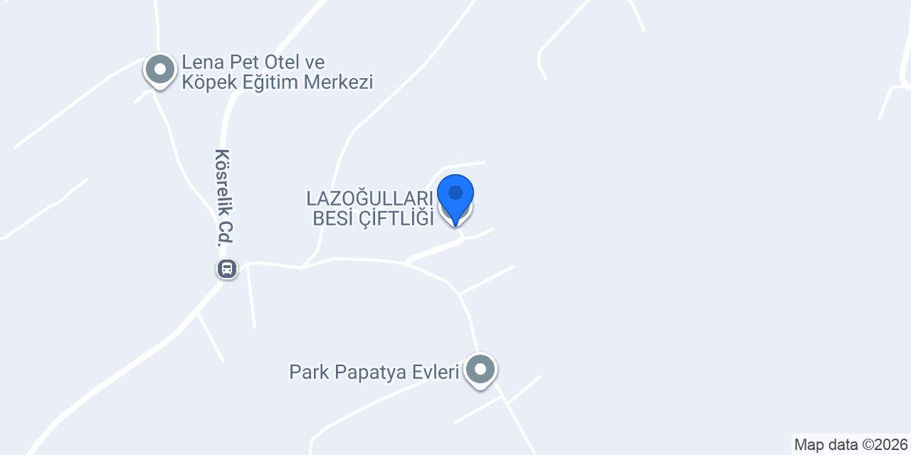 LAZOĞULLARI BESİ ÇİFTLİĞİ konumu