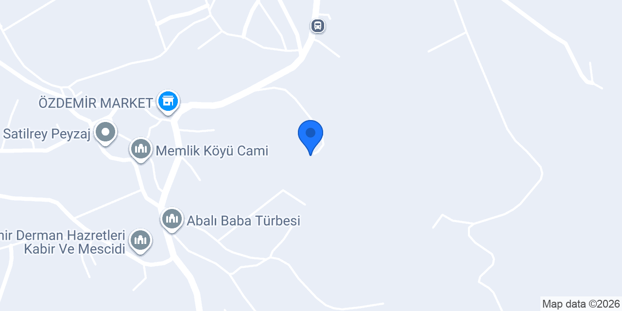 Aslan Besicilik konumu