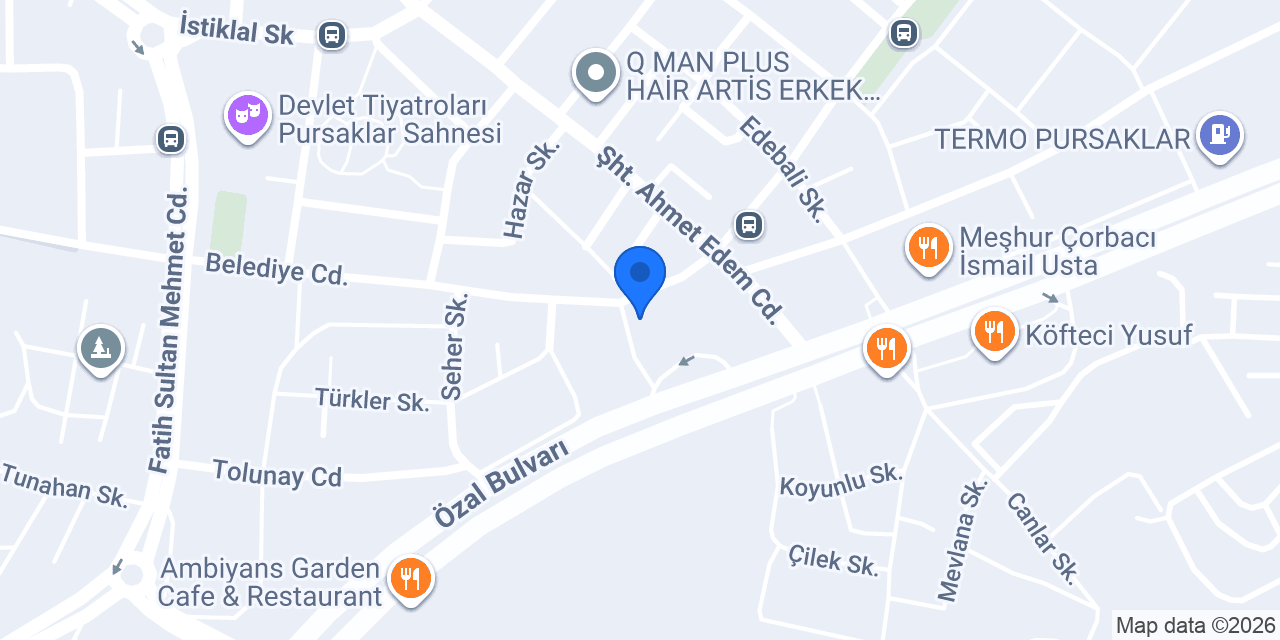 DEMİR AUTO konumu