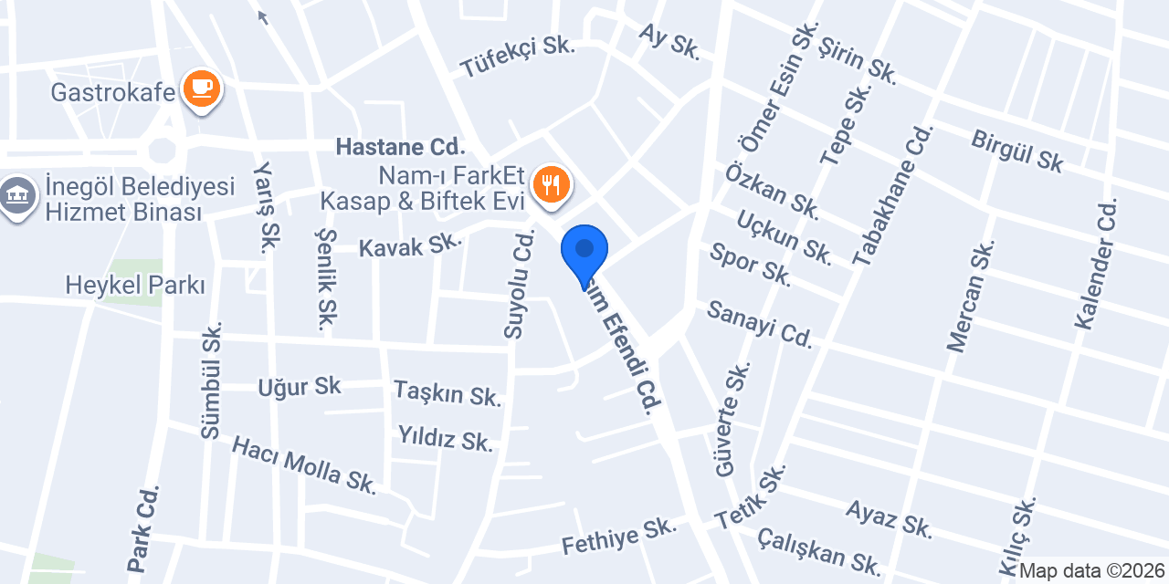 ALTIN TEKNİK konumu