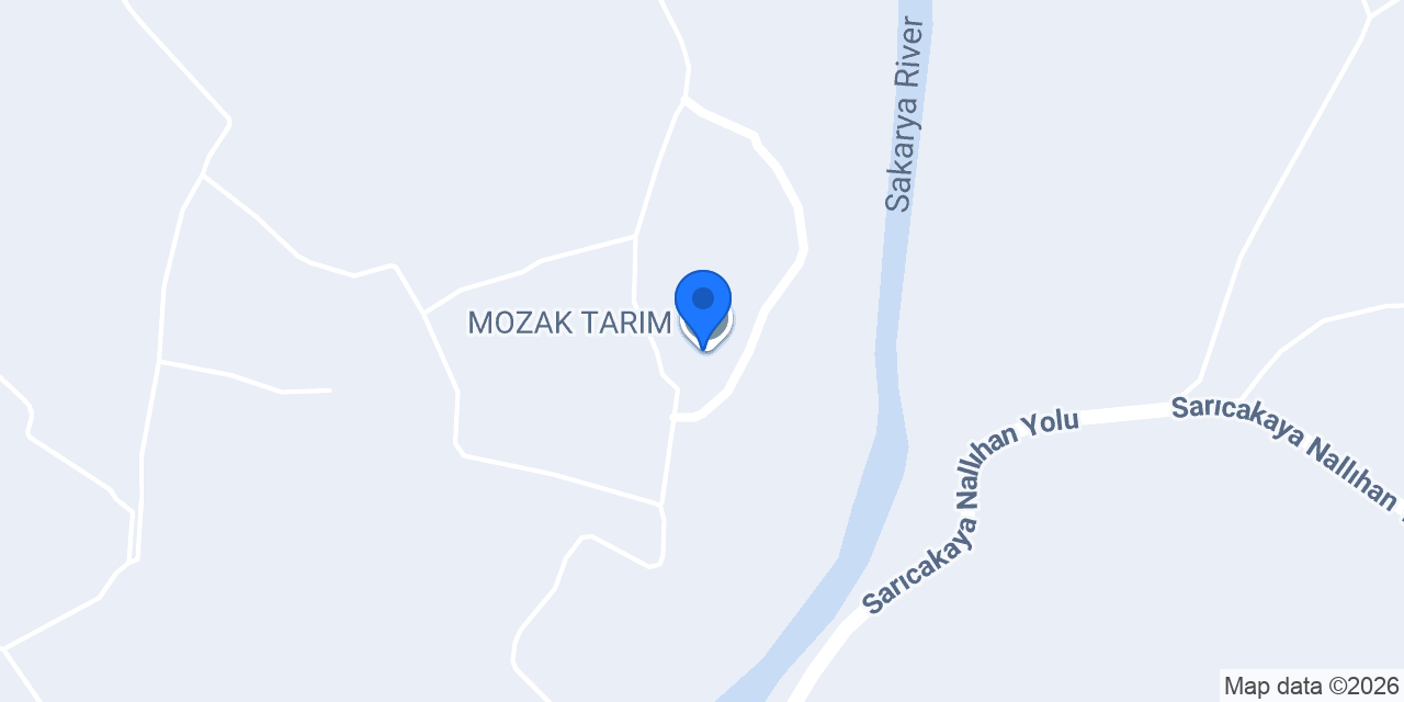 MOZAK TARIM konumu