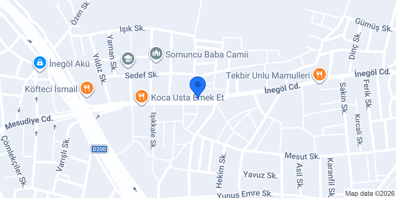 Terzi Vildan konumu