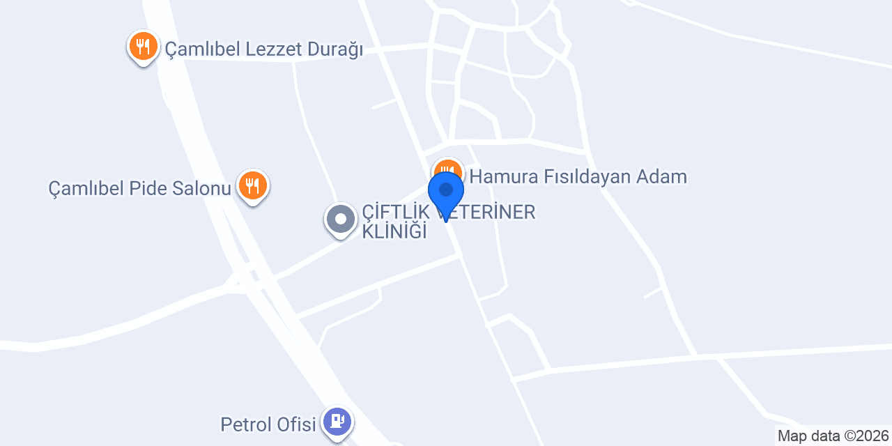 YILDIRIM PIDE konumu