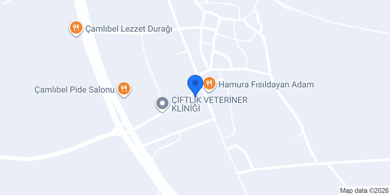 Dizman Ticaret konumu