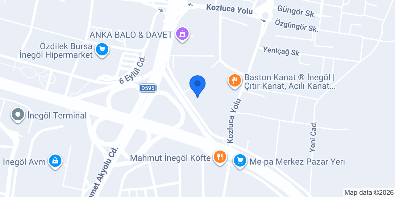 Asıllı Lojistik konumu