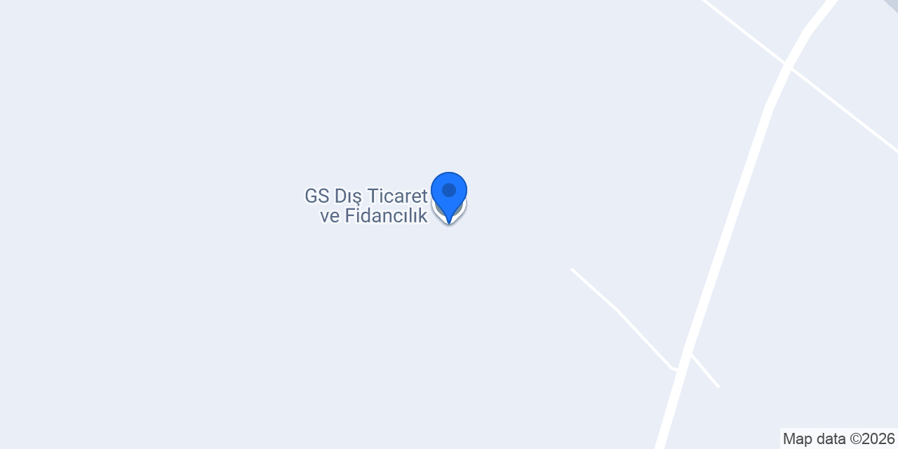 GS Dış Ticaret ve Fidancılık konumu