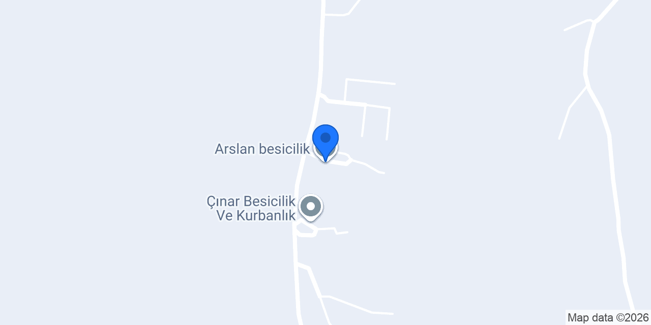 Arslan besicilik konumu
