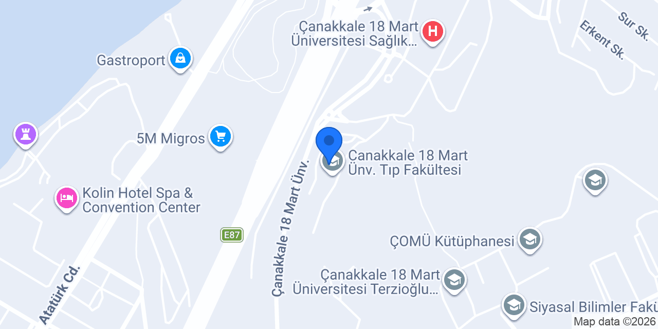 Doç.Dr.Mustafa GÜVEN konumu