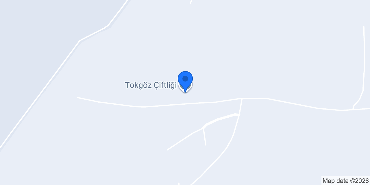 Tokgöz Çiftliği konumu