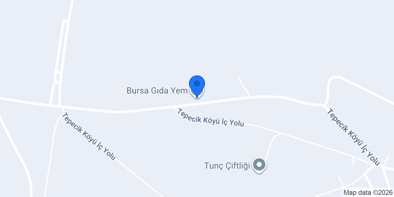 Bursa Gıda Yem konumu