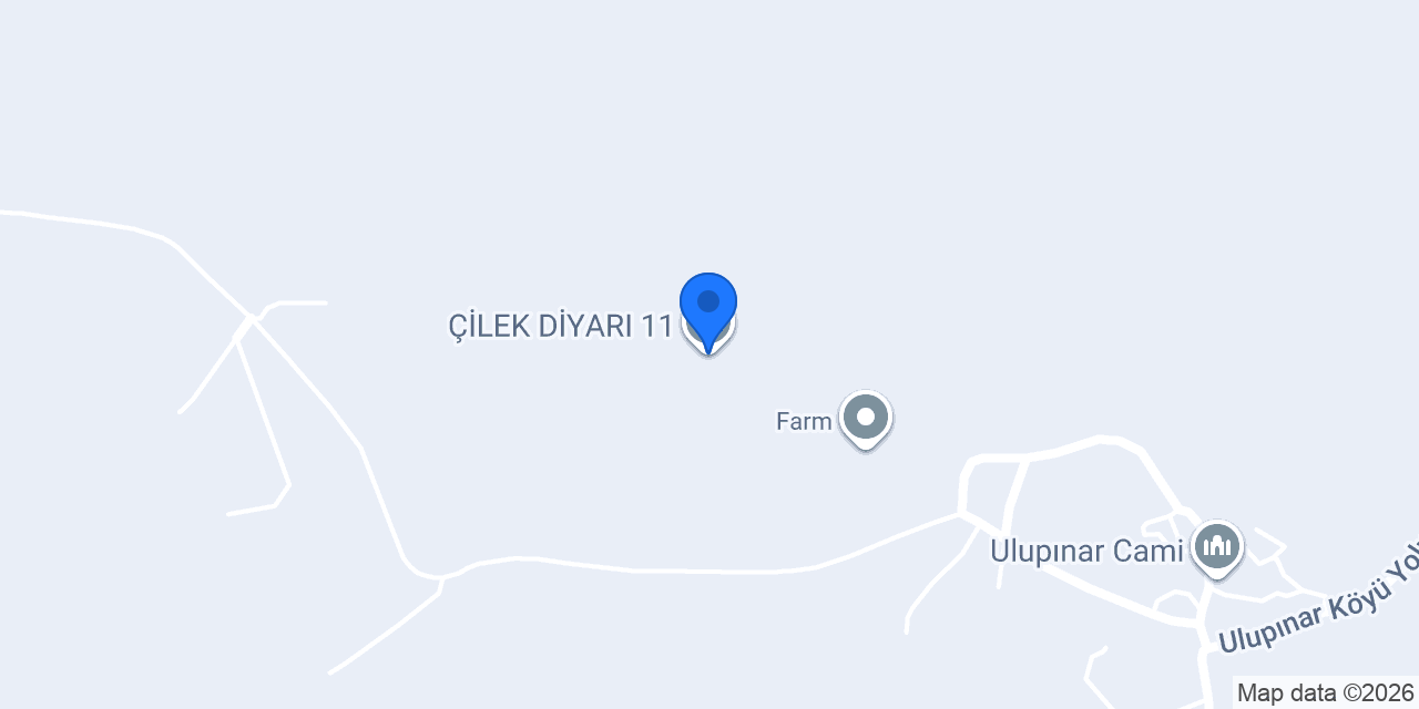 ÇİLEK DİYARI 11 konumu