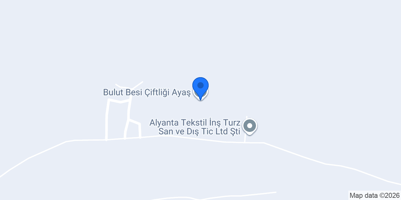 Bulut Besi Çiftliği Ayaş konumu