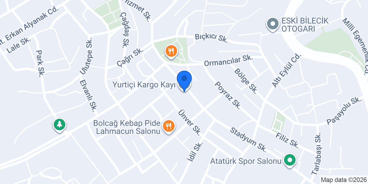 Yurtiçi Kargo Kayı konumu