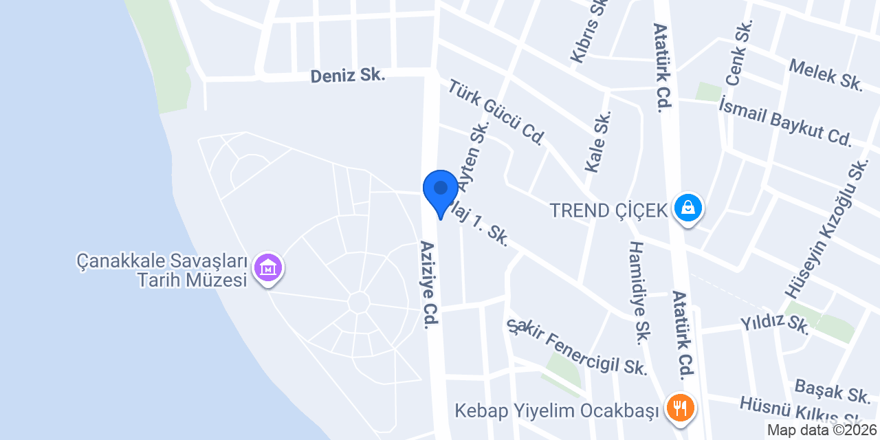 The ALP Pide & Pizza & Burger Salonu konumu