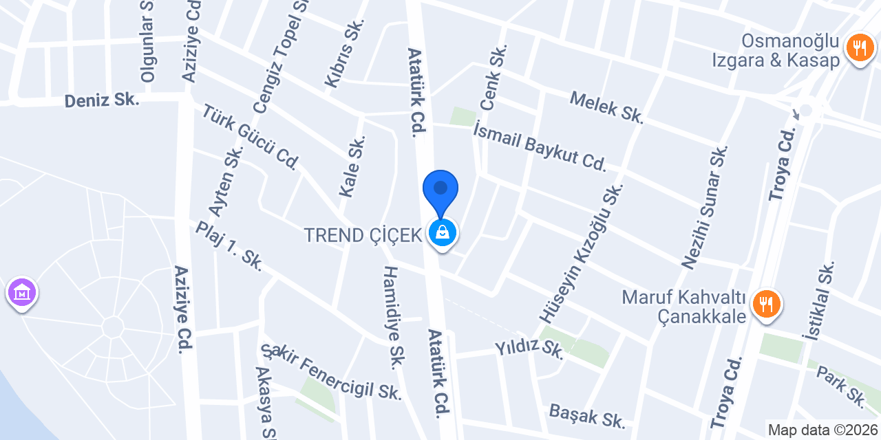 Saloni Mobilya - Çanakkale konumu