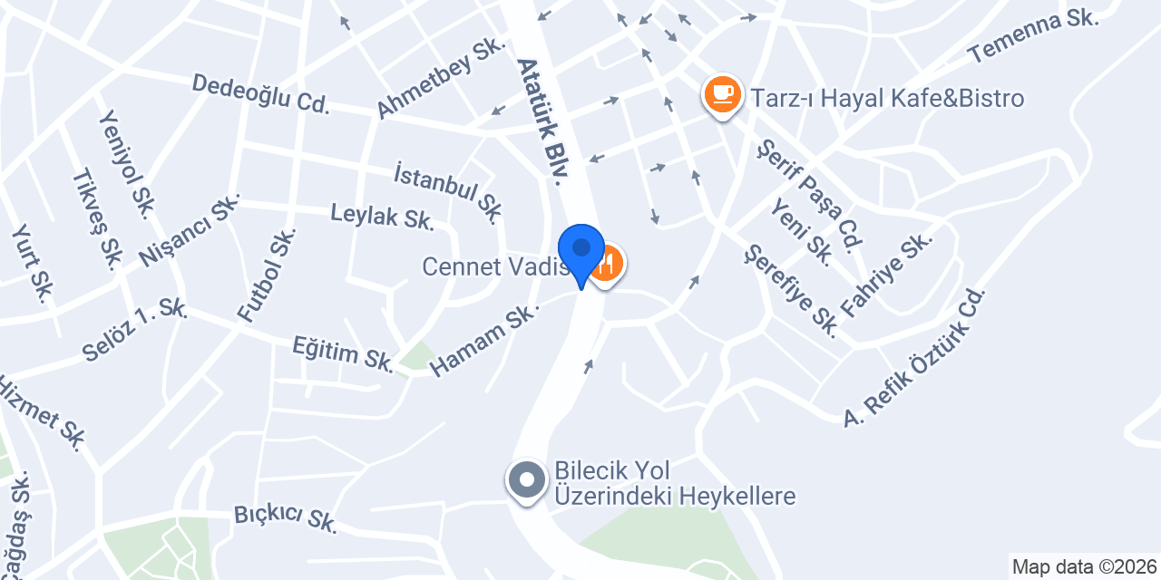 Altın Çiçekçilik konumu