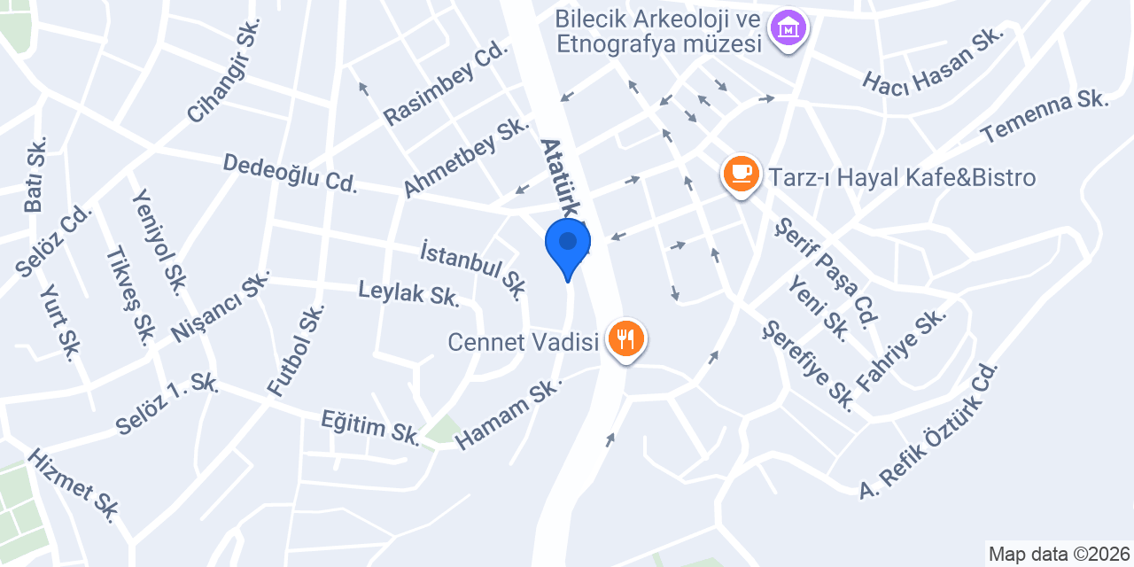 Orkide Flower Bilecik konumu