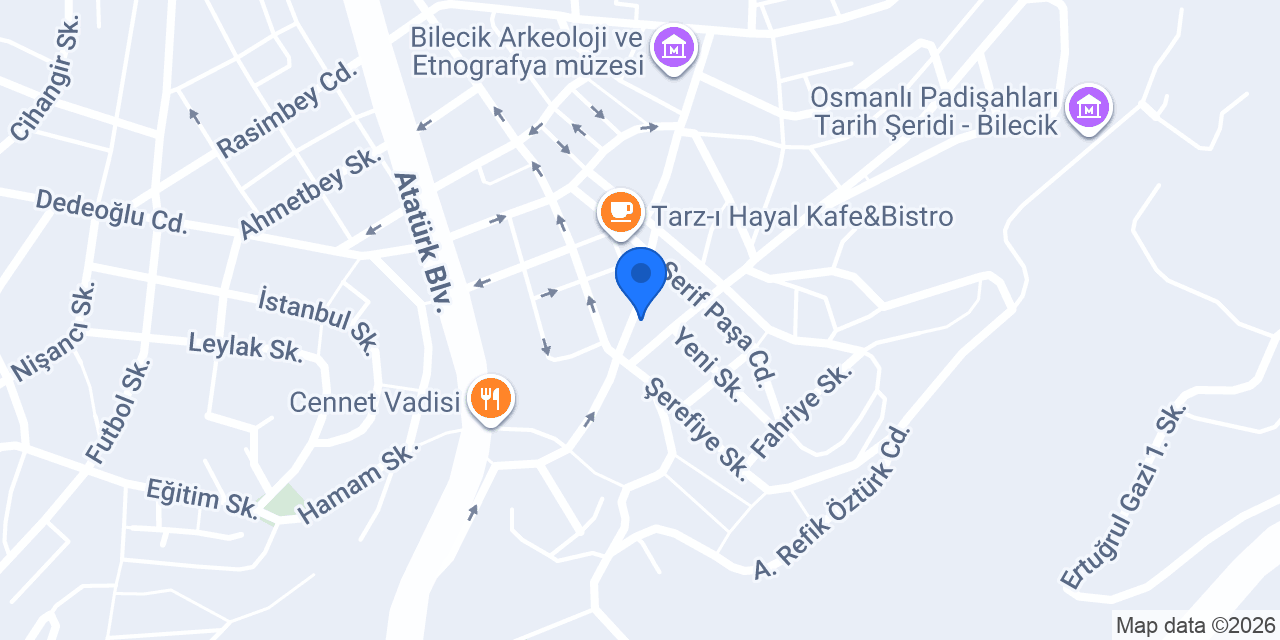 Bilecik çiçekçisi konumu