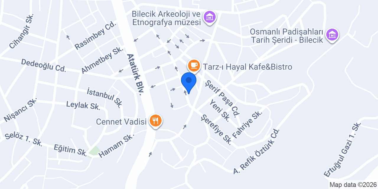 MASTER PROJE MİMARLIK konumu