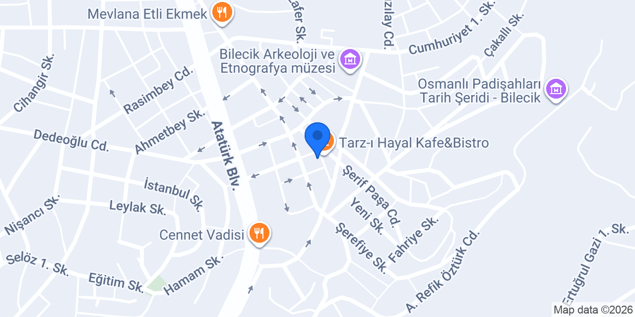 Tarz-Hayal Pizza konumu