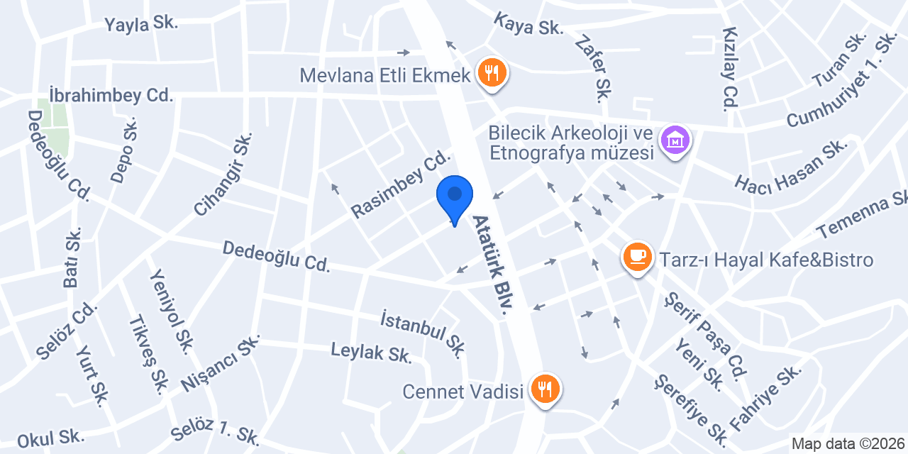 Elmas Bilişim konumu