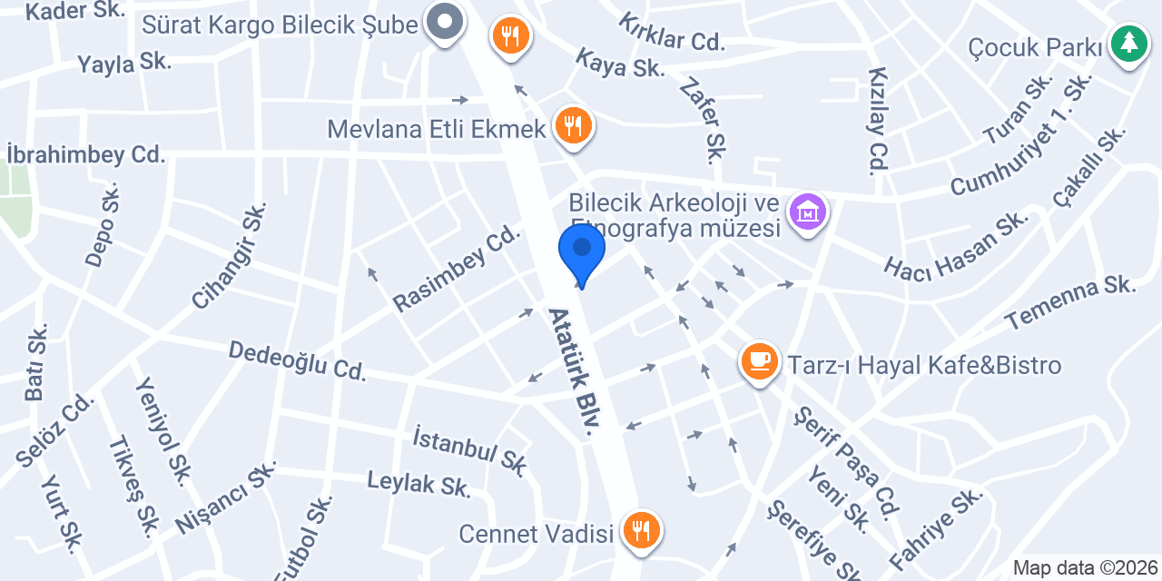 Aras Kargo Bilecik Şubesi konumu