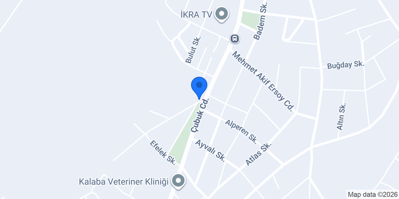 Öncü konumu