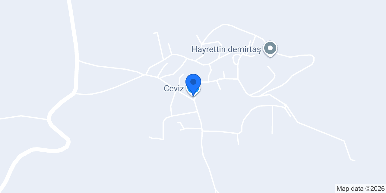 Ceviz konumu