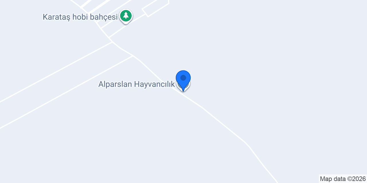 Alparslan Hayvancılık konumu